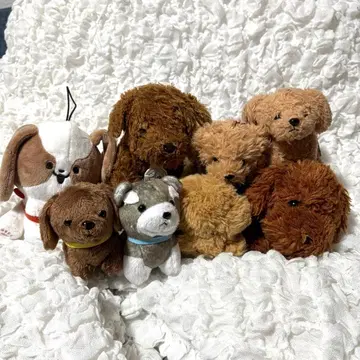 강아지 봉제 인형 / 묶음 판매