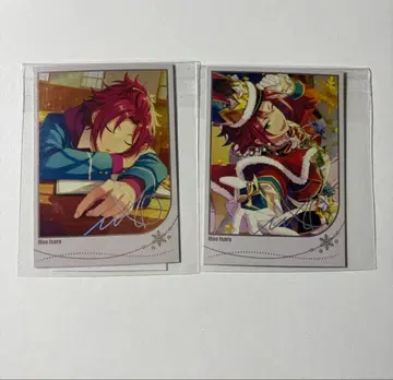 앙스타 모집 폴라로이드 파샤코레 이사라 마오