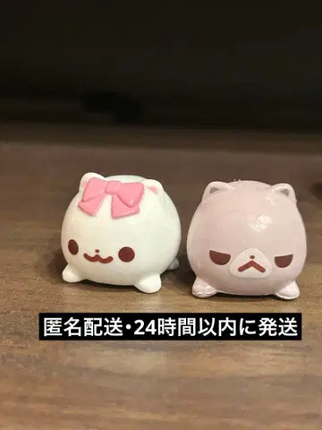 포메라니안 모찌 목욕볼 모찌 리본 흑설탕