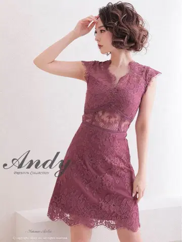 앤디 핑크 레이스 드레스
