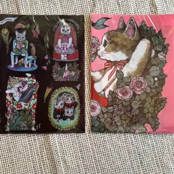 한국 한정판 히구치 유코 더블 포켓 파일 2개 세트 클리어 파일 새상품