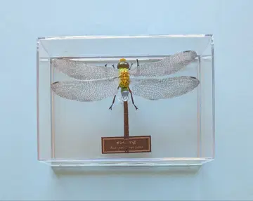 [새상품급 데아고스티니] 긴야마 피규어