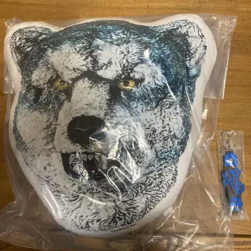 MAN WITH A MISSION D상 K상 1번 복권 카미카제 보이