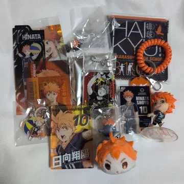 하이큐 히나타 쇼요 굿즈 세트