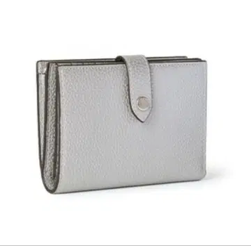 BONAVENTURA 멀티 미디엄 지갑 실버