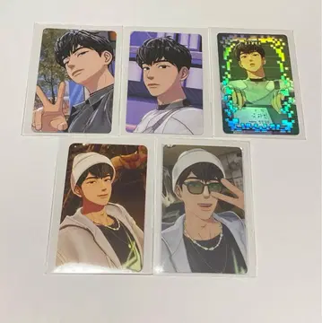 plave 하민 트레카세트