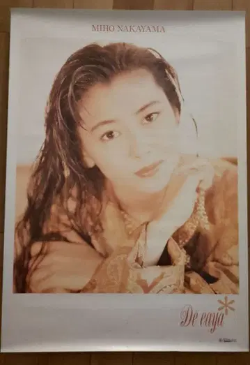 나카야마 미호 포스터 12