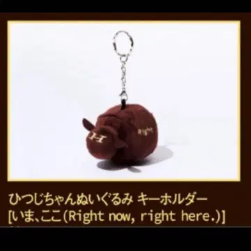 양문학 히츠지짱 봉제 인형 키링 지금, 여기