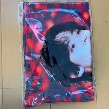 straykids 라이브 사진 타월 리노 포토 카드 포함
