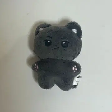 ENHYPEN 제이 봉제 인형 10cm