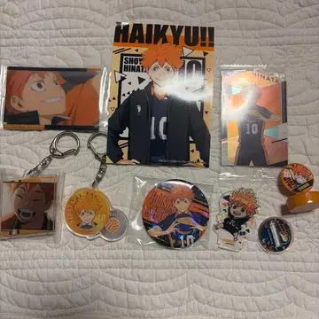 하이큐!! 히나타 쇼요 캐릭터 굿즈 세트 낱개 판매 환영