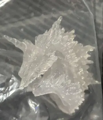 몬스터 헌터 스탠다드 모델 보너스 부품 기린의 머리?