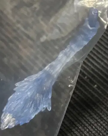 몬스터 헌터 스탠다드 모델 보너스 파츠 ?의 꼬리