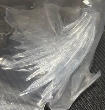 몬스터 헌터 스탠다드 모델 보너스 부품 제노 지바의 오른쪽 날개?