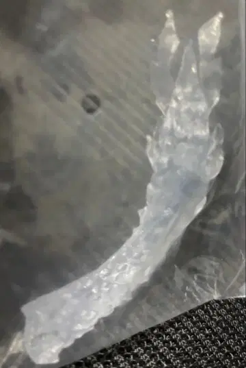 몬스터 헌터 스탠다드 모델 보너스 파츠 제노 지바의 꼬리?