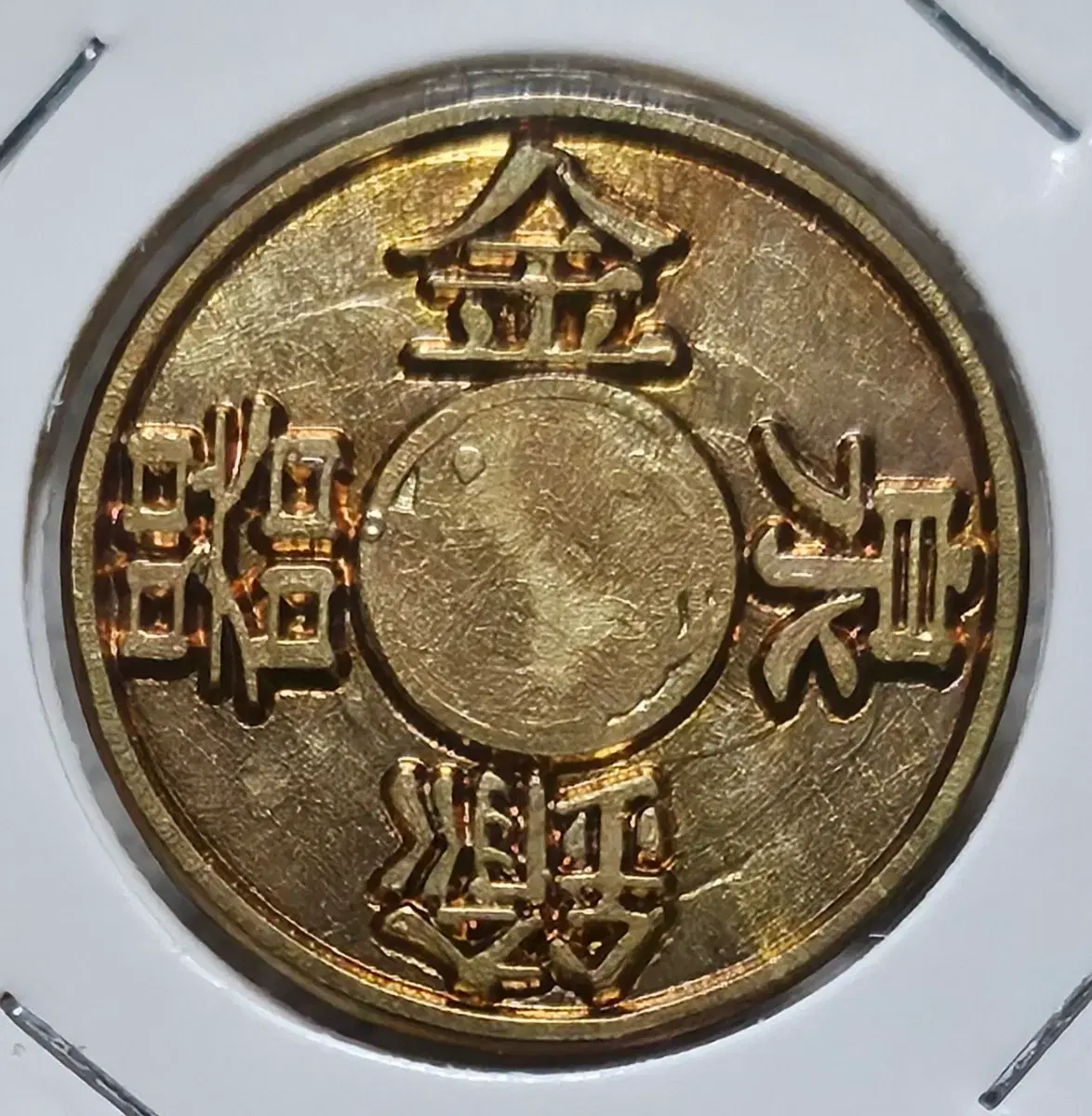 비트코인 거북왕 (86) 사진