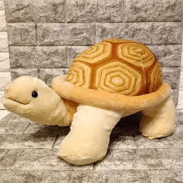 느긋느긋 육지거북 Big 봉제 인형