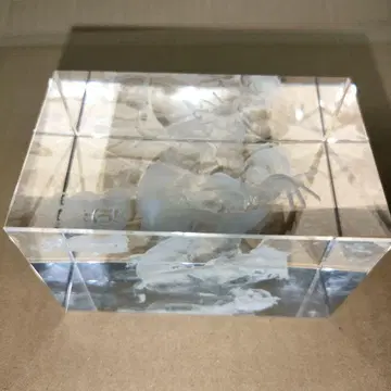 레제크로 클라이맥스 3D 크리스탈 잔 다르크 SECRET 1