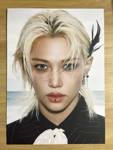 StrayKids DOIT 사진 보드 필릭스