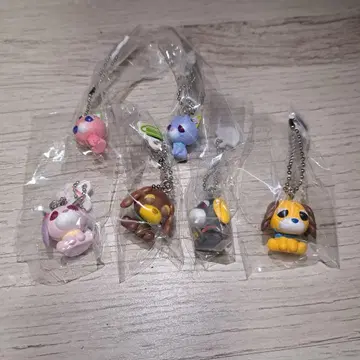 초코 보로 오챠이누