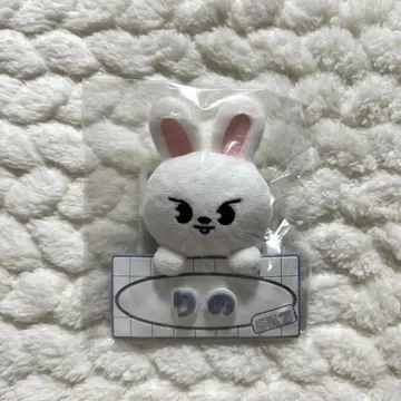 미개봉 새상품 리 비트 네임 백참 리노 스키즈