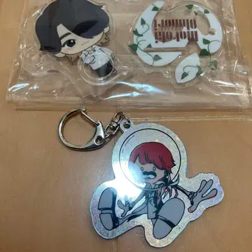 미세스 그린애플 오오모리 모토키 세트