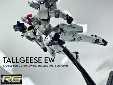 RG 토르기스 완성 페인팅 제품