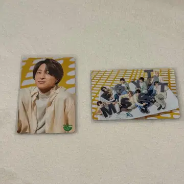 timelesz 트레이딩 카드 초회 B 테라니시 타쿠토 키쿠치 후마