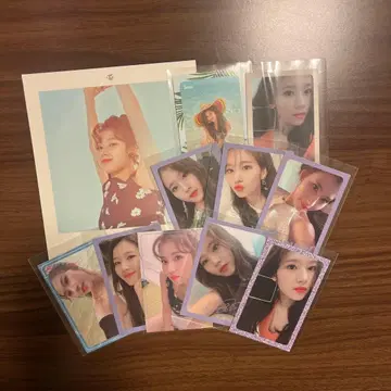 트와이스 사나 사마나이