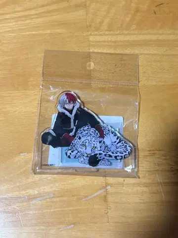 토도로키 쇼토 아크릴 스탠드 십걸 JF2024