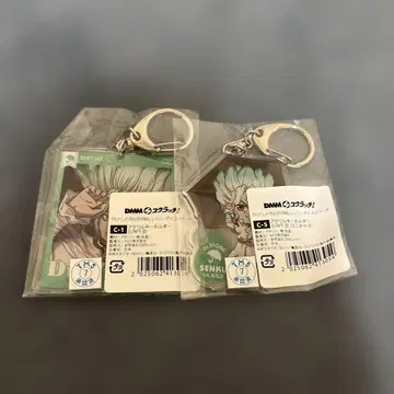 Dr.STONE 이시가미 센쿠 캔뱃지 아크릴 키링 복권