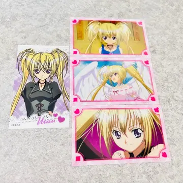 새상품 수호캐릭터 호시나 우타우 클리어 카드