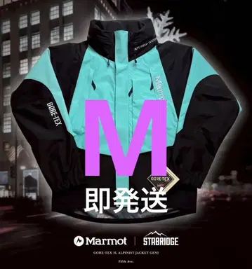 STABRIDGE x Marmot Gore-Tex 3LAlpinist M