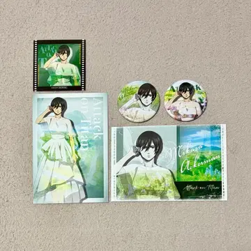 미카사 Reflect Memories ver. 진격의 거인