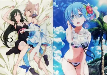 Re: 제로 크루슈 & 페리스 / 렘 A4 클리어 파일 2장 세트