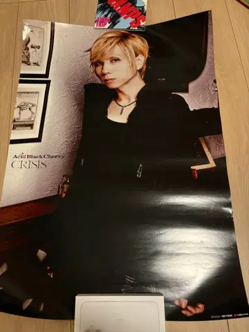 Acid Black Cherry Crisis 포스터 2장 세트