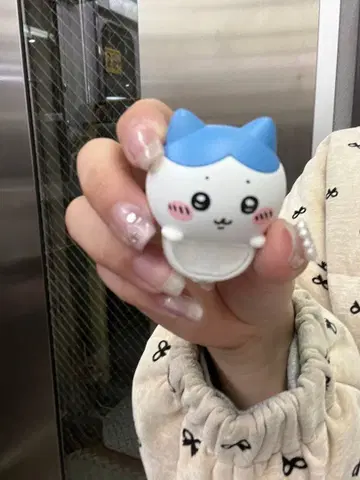 하치와레 CHIIKAWA HIPPERS