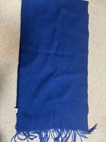 빅 머플러 블루