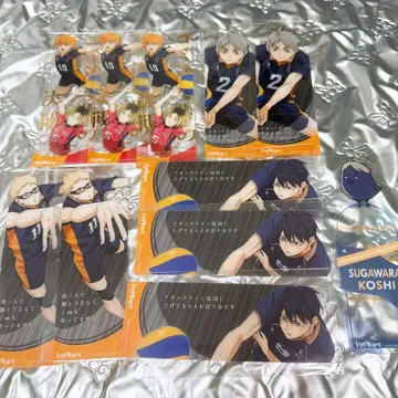 하이큐 북마크 컬렉션 쓰레기장의 결전 고결