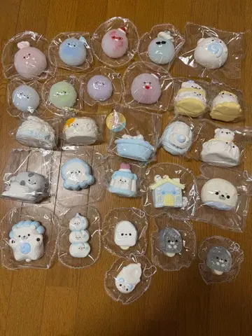 스퀴즈 아자라시 타바 스퀴즈 묶음 판매