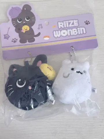 RIIZE 원빈 토냥독 상하이 봉제 인형 키링