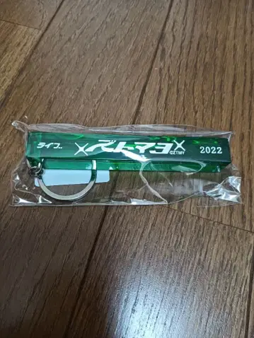 계속 한밤중이면 좋을 텐데 호텔룸 키 키링 그린 새상품