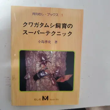 사슴벌레 사육의 슈퍼 테크닉