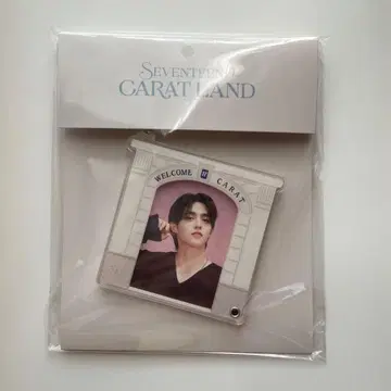 에스쿱스 아크릴 포토 키링 케렌