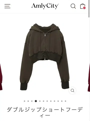Amly City 더블 지퍼 숏 후디 리나티