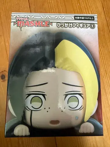 [ 미개봉 새상품 ] 매쉬르 핀 에임즈 히캇케 피규어 MASHLE