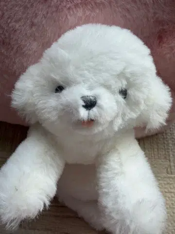 LIV HEART 리브하트 쿠탓토비요리 화이트 강아지