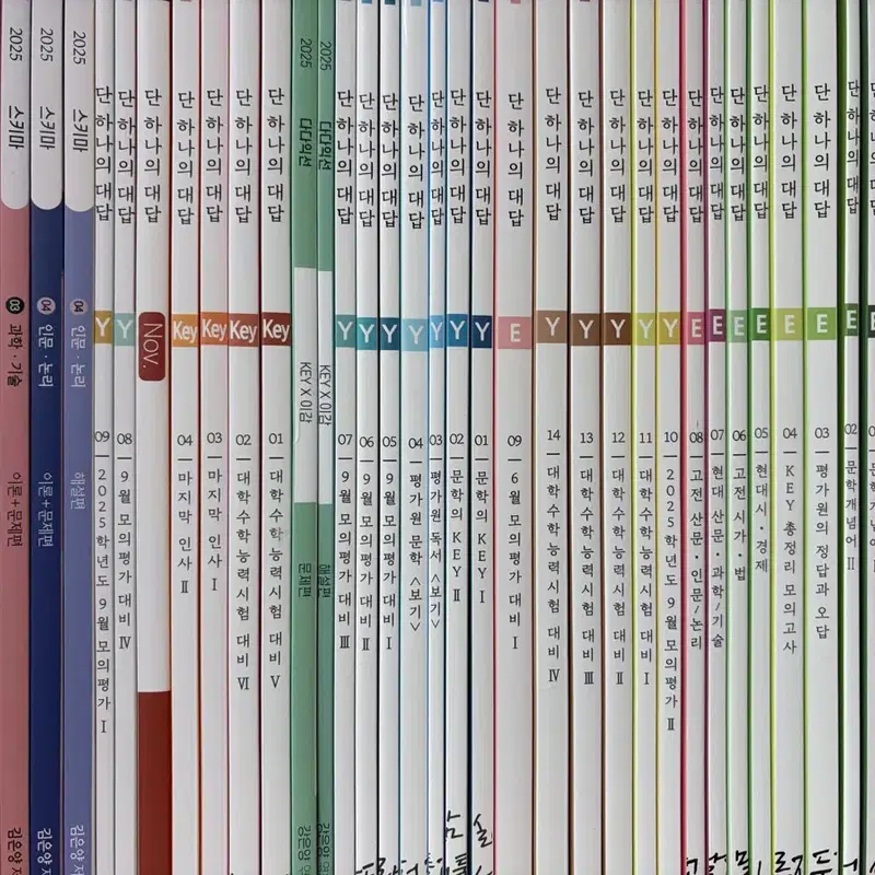 시대인재 강은양T김은양T 풀커리 월간지 만점부록 스키마 문학개념어