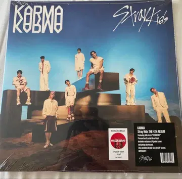 Stray Kids KARMA 타겟 한정판 레코드 타겟 vinyl