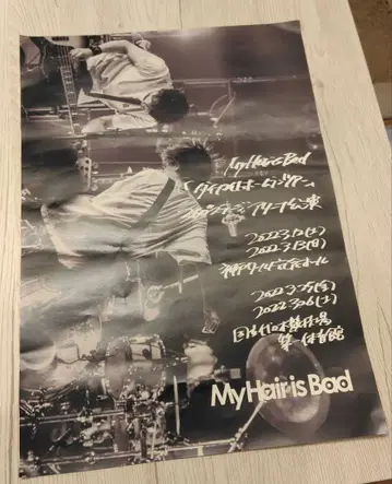 My Hair is Bad 마이헤어 라이브 포스터
